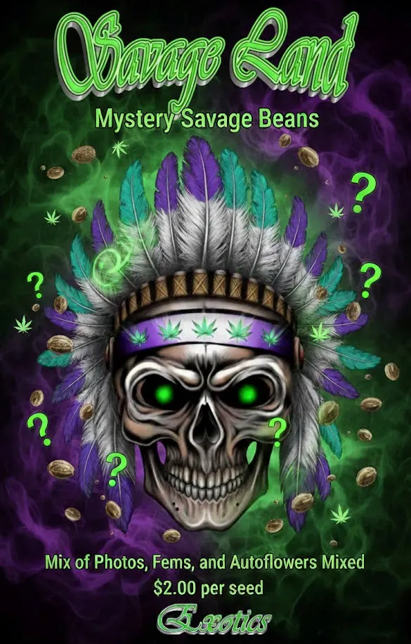 Mystery Savage Beans - Savage Land Exotics